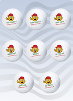 8 Golf Balls & Bonus Items